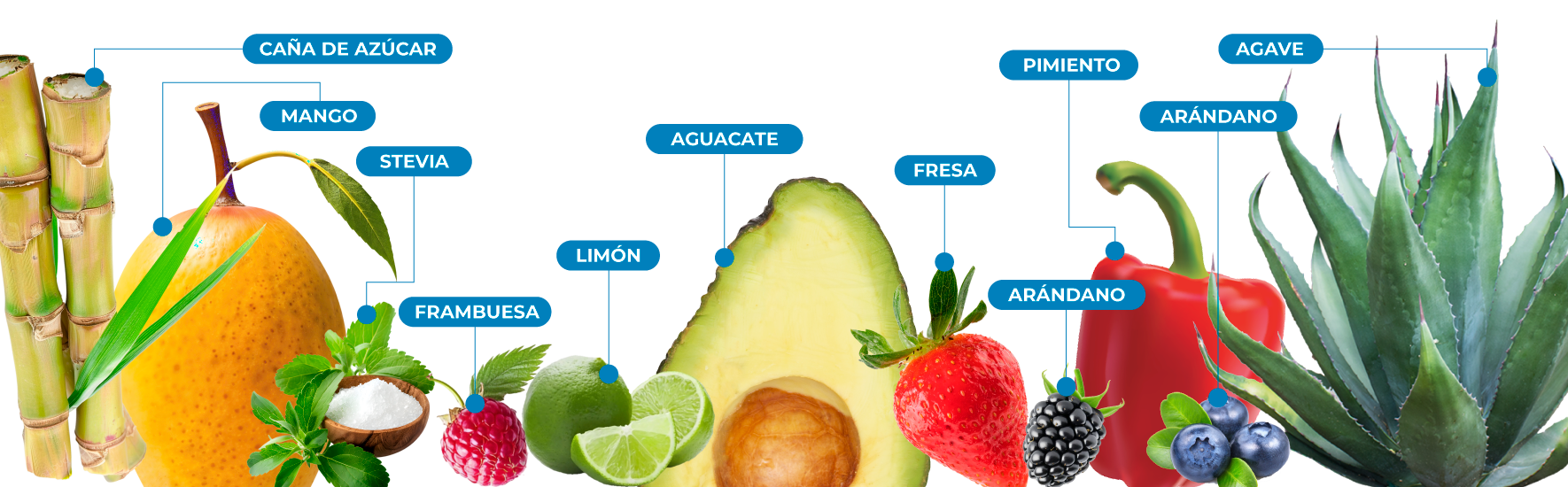 Frutas